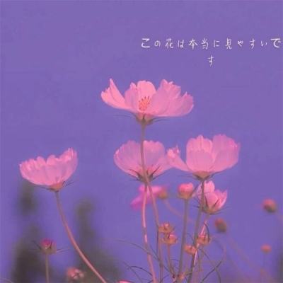 我想升官手机版(暂未上线)v1.0.1 安卓版
