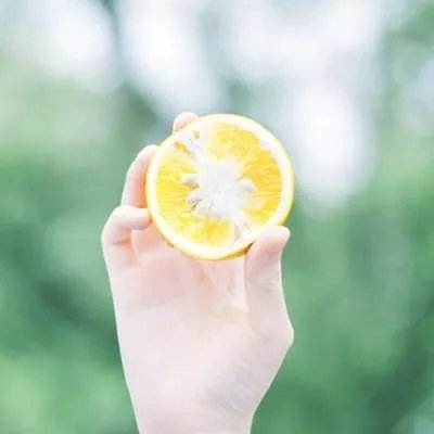 玛法英雄游戏下载
