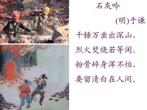 萌果霸王的大陆官方版下载